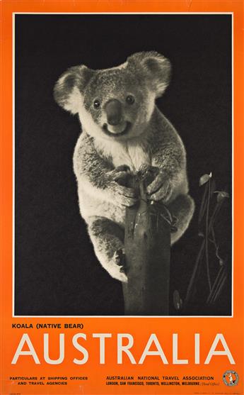 PHOTO BY HAROLD CAZNEAUX (1878-1953). AUSTRALIA / KOALA (NATIVE BEAR). 1929. 40x25 inches, 101½x63½ cm. Troedel & Cooper Ptg. Ltd., Mel          